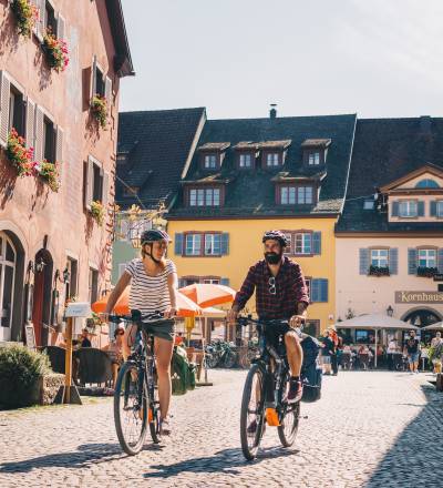 lenkrad pedale switch Nintendo und Pedal für Crash-Bandicoot Nitro Fueled (Offizielle Nintendo Switch-Lizenz) Games Category:E Bike_Aluminium 38T Farbe:503 BLACK-SILVER-FLUO YELLOW Gravel Bike Electric Mustache